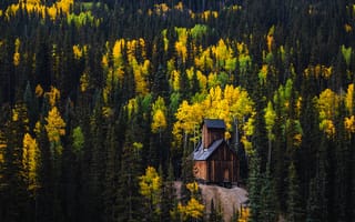 Картинка мальчик из Колорадо, мой, деревянная хижина, 5 тыс., сосны, Красный горный перевал, осень