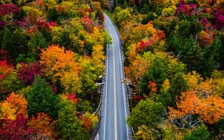 Картинка осень, пейзаж, дорога, 5 тыс., осенние цвета, клены, проселочная дорога, США