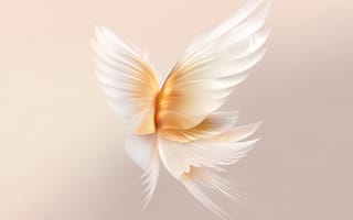 Картинка крылья ангела, персик, запас, честь
