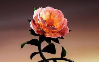 Картинка цифровой цветок, капли росы, 8к, оранжевый цветок, капли, 5 тыс.