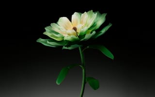 Картинка зеленый цветок, темный, 8к, 5 тыс., ИИ искусство, цифровой цветок