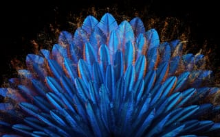 Картинка павлиньи перья, синяя эстетика, оппо найди н, запас, 5 тыс., элегантный, синий абстрактный, яркий, шаблон