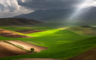 Картинка пейзаж, одинокое дерево, зеленые поля, солнечный свет, драматический, сельская местность, яркий, грозовые облака, зеленая трава, Италия, холмистые местности, солнечный луч, одиночество, 5к, настроение, горы