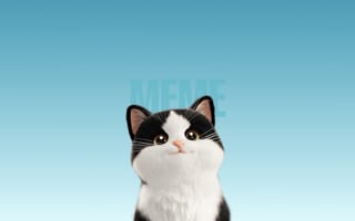 Картинка Милый кот, Мультфильм, 5K, Мем, Синий градиент, Синий