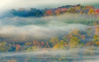 Картинка OS X Lion, Осень, Mac OS X, Туман, 5K, Сток, Ландшафт, Деревья