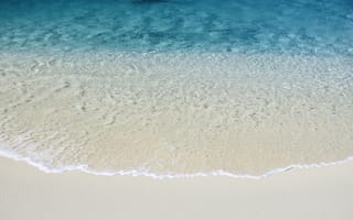 Картинка OS X Лев, Пляж, 5K, Сток, Mac OS X