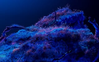 Картинка Биолюминесценция, Неоновое искусство, Космос, Глубокий синий, Мечтательный, Дизайн Microsoft