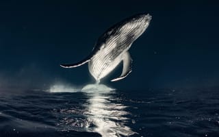 Картинка Океан, Морская жизнь, 5K, Сюрреализм, AI