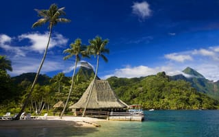 Картинка пальмы, тропики, Пляж, tahiti, муреа, кафе, tropics beach, таити