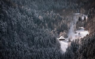 Картинка зима, лес, снег, Природа, домик