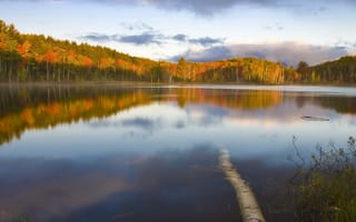 Картинка стеклянная вода, осень, отражение леса