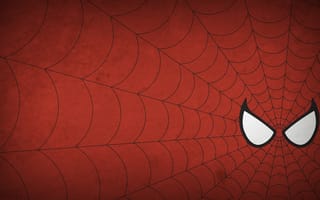 Картинка Spider-man, рисунок, минимализм, человек-паук, паутина