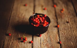 Картинка rowanberry, рябина, доски, ягоды