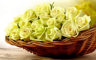 Картинка розы, нежность, цветы, розочки, желтые розы, корзинка