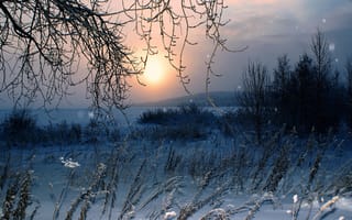 Картинка снег, Зима, природа