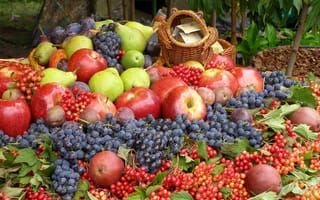 Картинка Калина, сливы, виноград, яблоки, ягоды, фрукты, груши