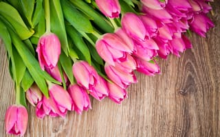 Картинка букет, Цветы, розовые тюльпаны, тюльпан