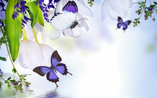 Обои butterflies, весна, purple, reflection, flowers, water, tulips, Spring, blossom