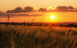 Картинка Photographer, закат, горизонт, линии электропередачи, облака, поле, трава, долина, оранжевое небо
