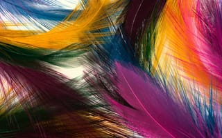 Картинка перья, разные цвета, пушистые