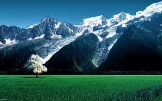 Картинка горы, трава, пейзажи, skies, деревья, fields, небо, поля, trees, nature, grass, mountains, природа