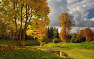 Картинка осень, река, облака, дерево, трава