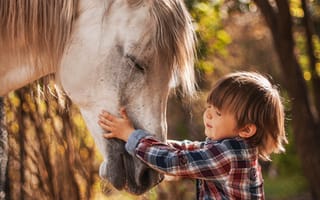 Картинка Agnieszka Gulczynska, природа, лошадь, конь, ребёнок, мальчик, животное