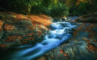 Картинка камни, деревья, осень, лес, листья, река, течение