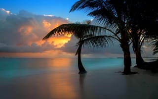 Картинка море, доминикана, восход, пальмы