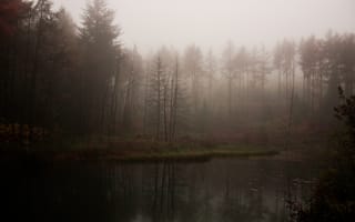 Картинка лес, атмосферно, озеро, туман, мрачно