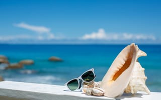 Картинка sea, shells, blue sky, vacation, glasses, sun, beach, accessories, summer