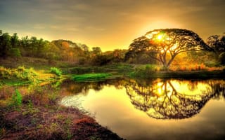 Картинка закат, природа, солнце, отражение, дерево, пруд, небо