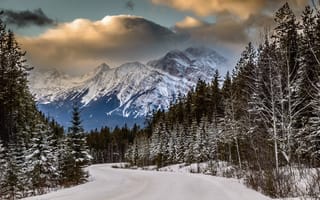 Картинка горы, лес, Зима, дорога, снег