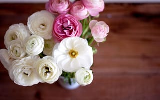 Картинка цветы, ranunculus, белые, букет, лютики