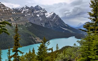 Картинка пейзаж, banff national park, река, горы, peyto lake