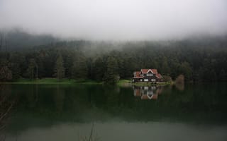Картинка лес, озеро, туман, болу, турция, гельджюке