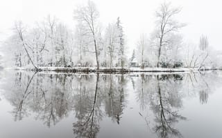 Картинка деревья, озеро, Зима, иней, парк