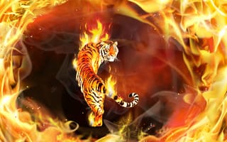 Картинка кошка, тигр, пламя, 3d, фотошоп, огонь