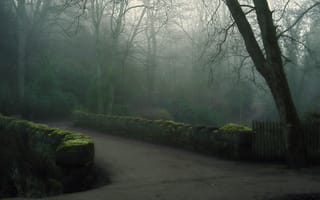 Обои туман, парк, мост, утро