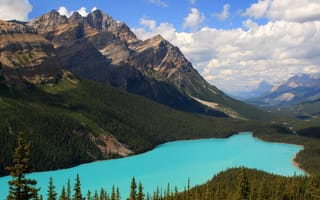 Картинка горы, небо, красота, лес, озеро, канада