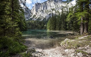 Картинка деревья, озеро грюнер, горы, вода, лес, австрия