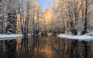 Обои лес, река, снег, Зима
