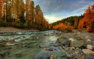 Картинка лес, река, осень, аляска, камни, поток