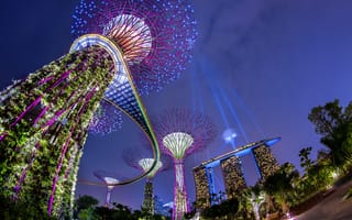 Картинка ночь, сингапур, архитектура, подсветка, парк, marina bay sands, сад, марина бей, огни, singapore, gardens by the bay