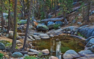 Картинка камни, сша, парк, sequoia national park, национальный парк секвойя