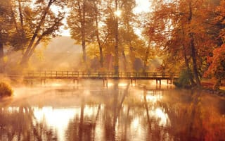 Картинка природа, осень, свет, утро, мост, солнца, деревья, город, река, туман