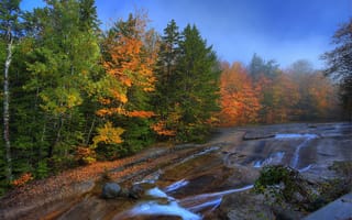 Картинка деревья, река, пейзаж, скалы, туман, лес, осень