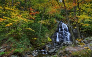 Картинка природа, лес, водопад, деревья, осень, речка, камни