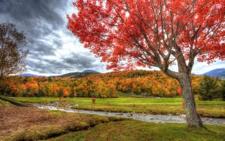 Картинка деревья, речка, пейзаж, поле, осень
