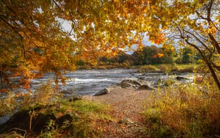 Картинка деревья, пейзаж, река, осень